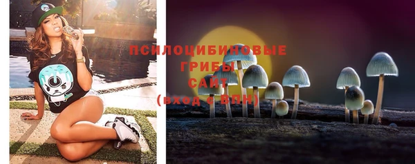 соль курить ск Алексеевка