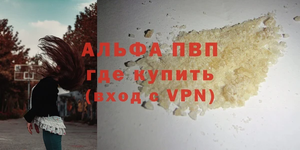 стафф Алзамай