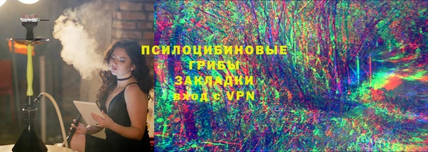 стафф Алзамай
