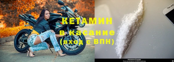 стафф Алзамай