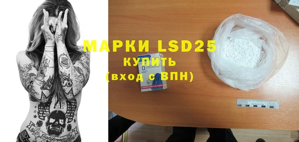 индика Абаза
