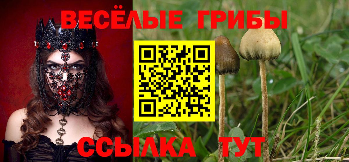 Галлюциногенные грибы мухоморы Дедовск